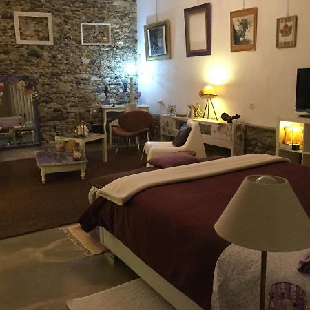 Villeneuve-de-Rivière Loft Atypique Bed & Breakfast エクステリア 写真