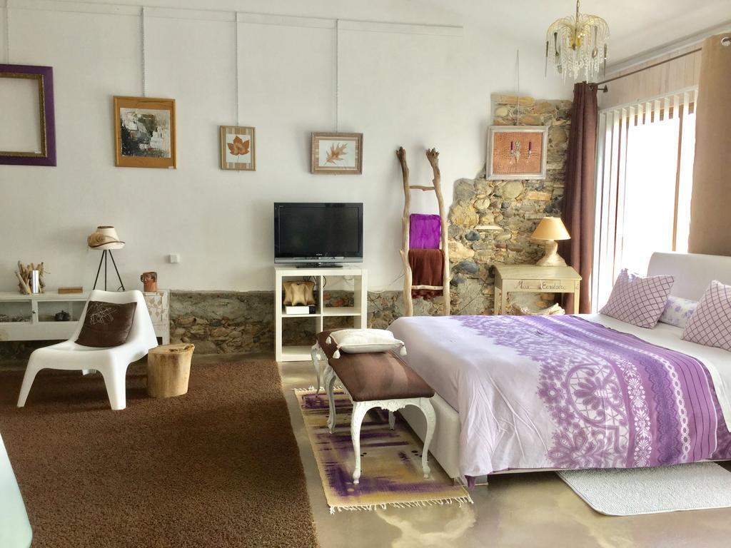 Villeneuve-de-Rivière Loft Atypique Bed & Breakfast エクステリア 写真